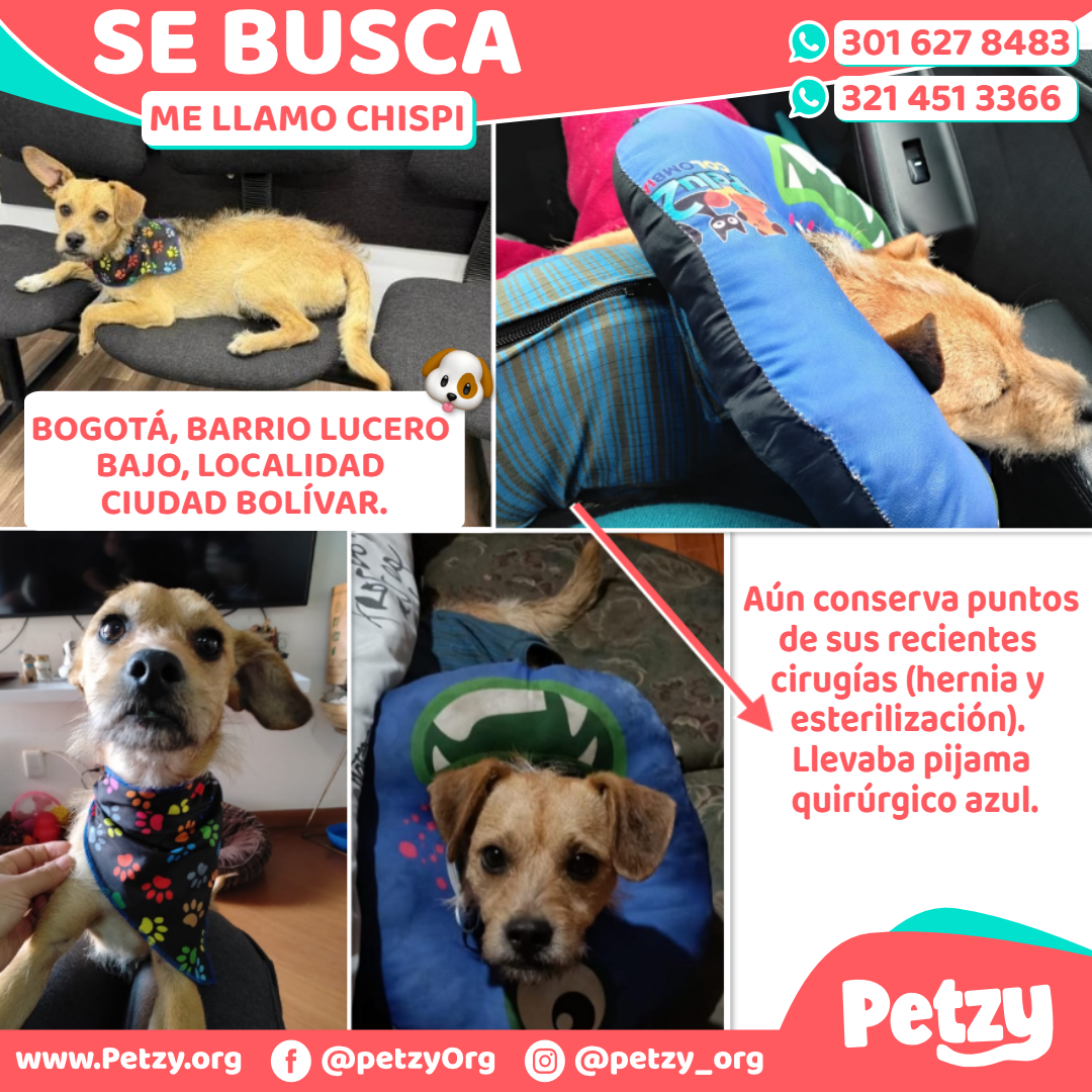 Chispi
