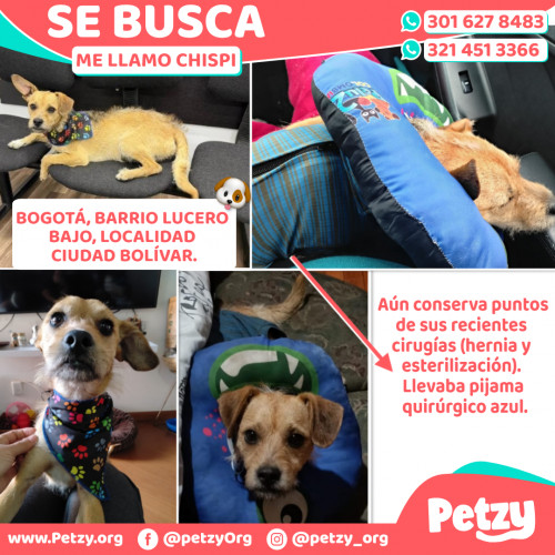 Chispi
