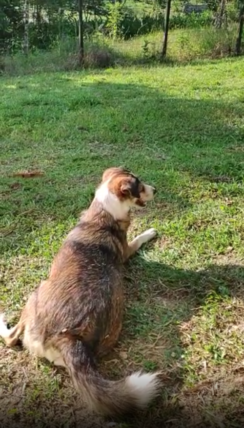 Kiara