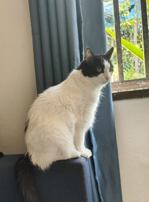 Coco