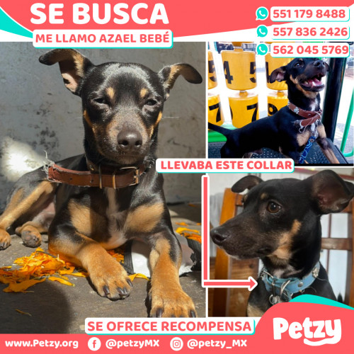 Banner de Azael Bebé