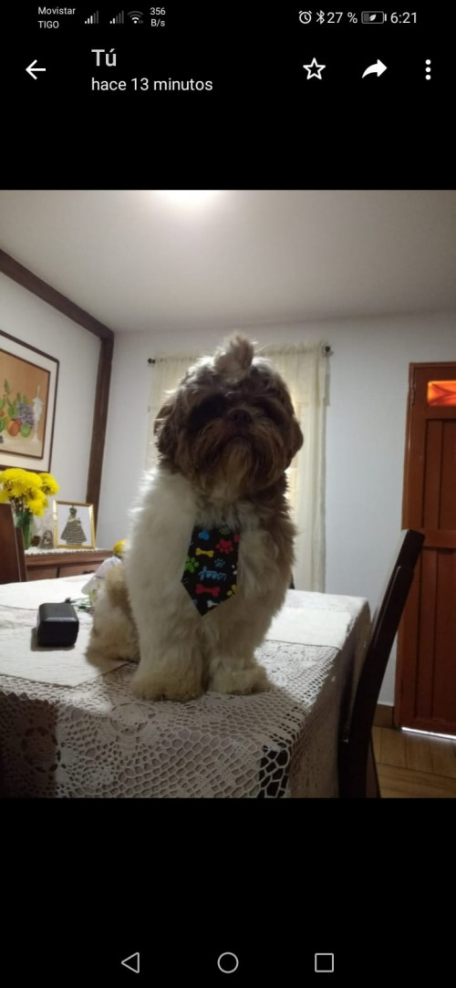 Teo