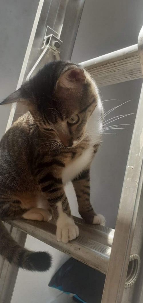 Max