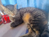 Foto de Monty en Tunja Boyacá #0