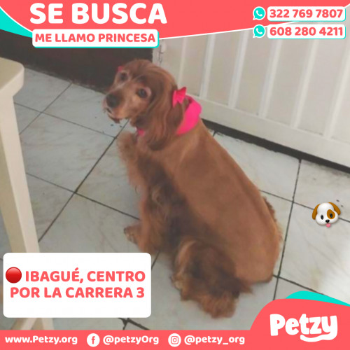 Princesa
