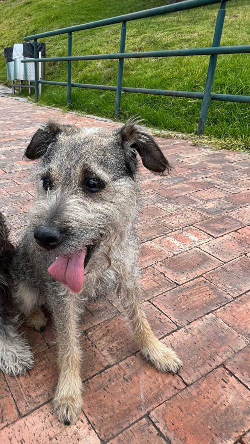 Max