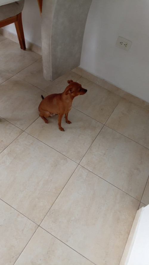Mia