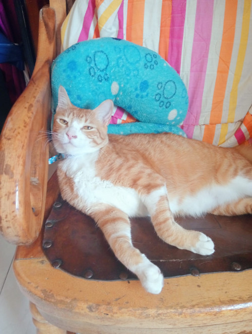 Boris