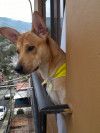 Foto de Bruno en Medellin Antioquia #0