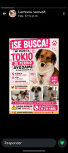 Foto de Tokio en Cali Valle del Cauca #10