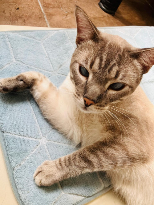 Tom