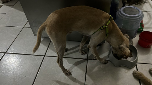 Ojitos