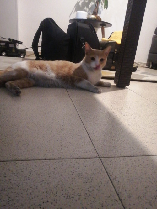 Almi