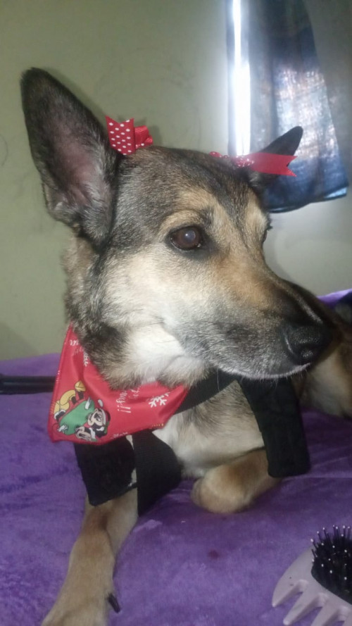 Estrella