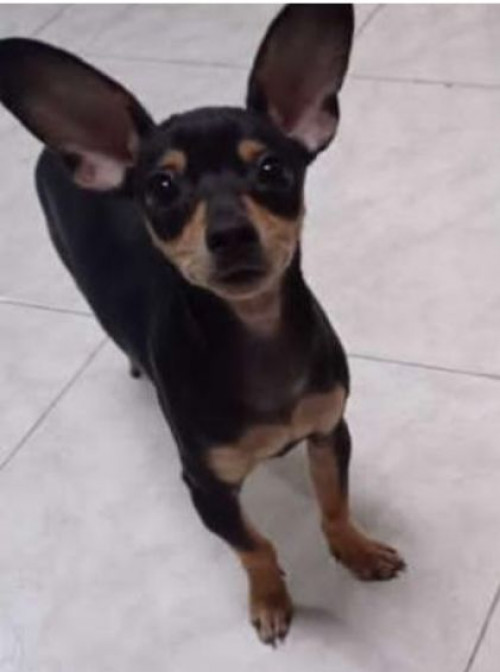 Rocky 
