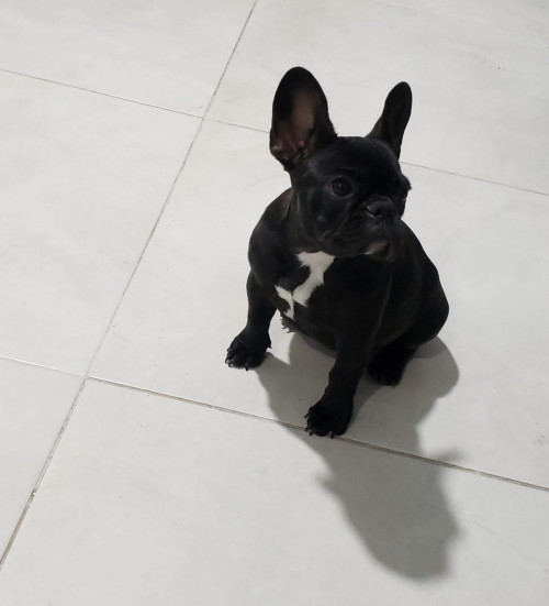 Nina