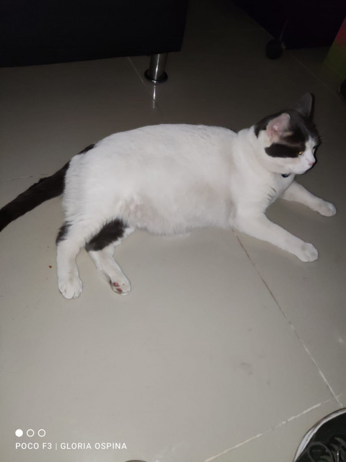 Martín