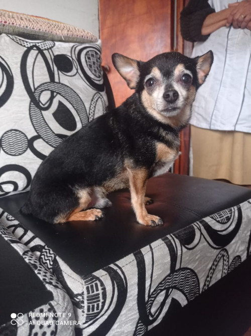 Juanito