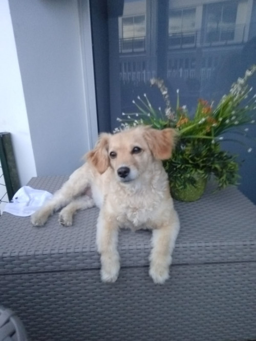 Susy