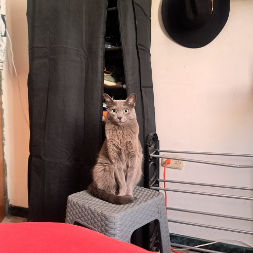 Ragnar