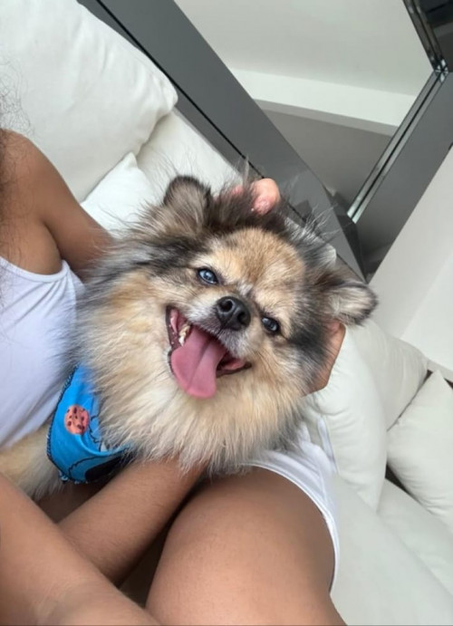 Max