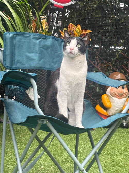 Tito