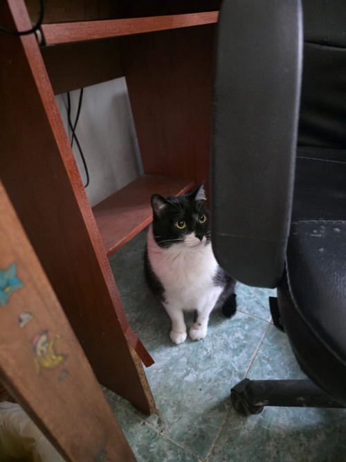 Max