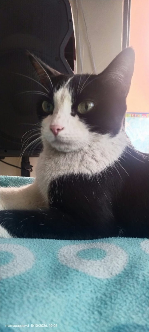 Luna