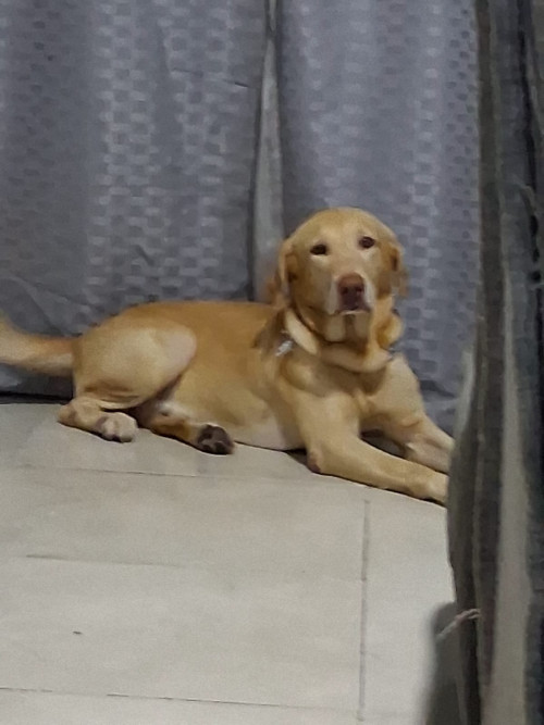 Zeus