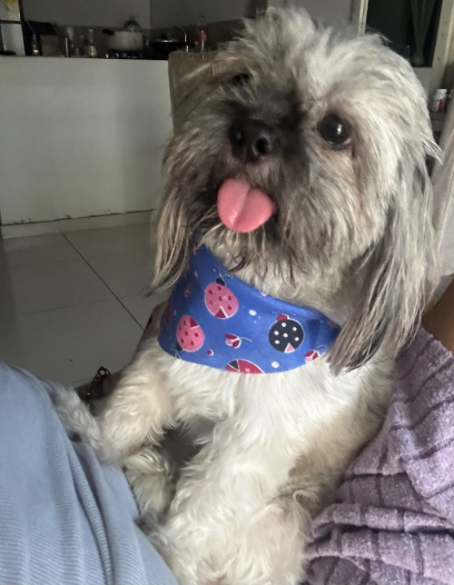 Lupita