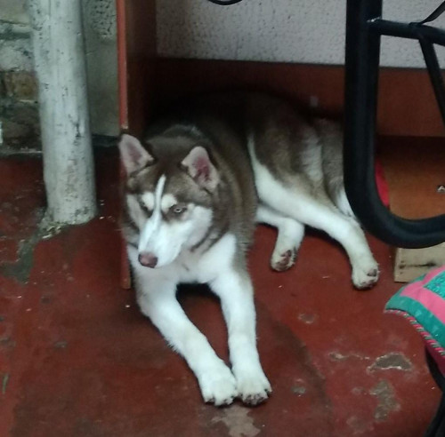 Alazka