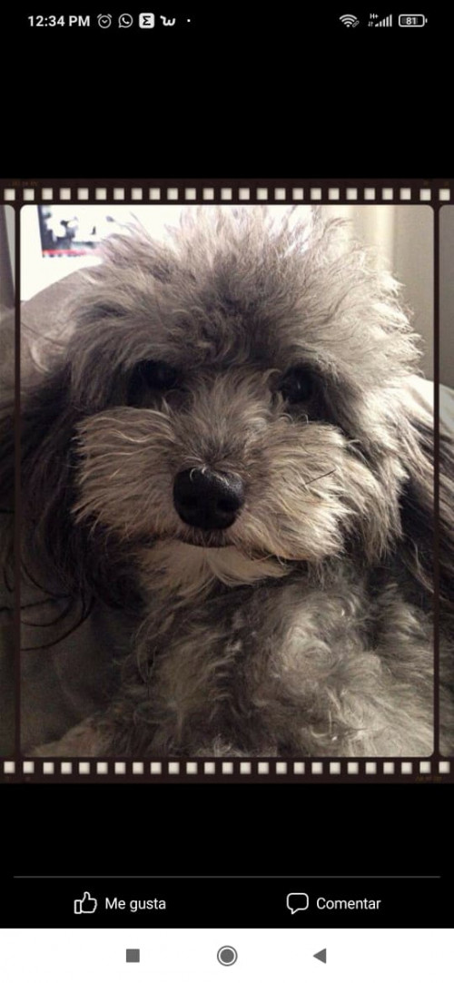 Coco