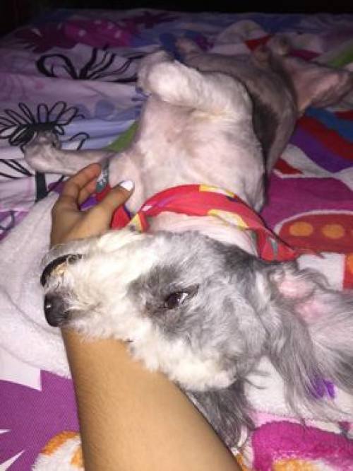 Cokie