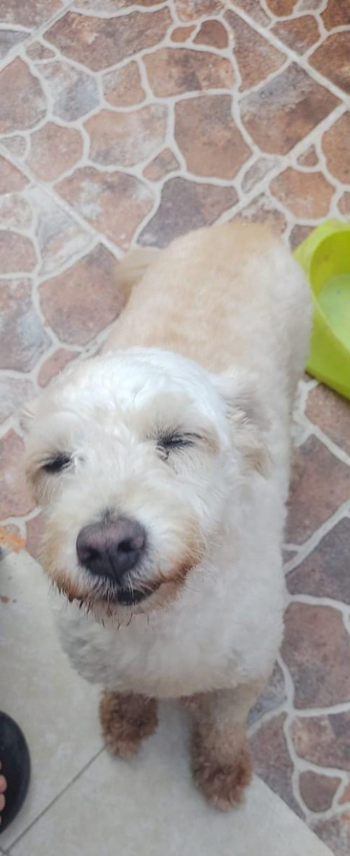 Muñeca