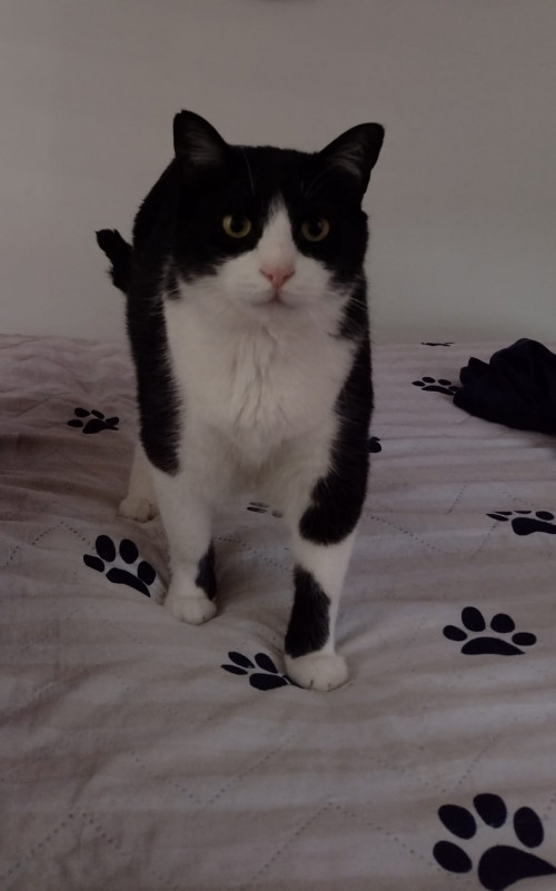 Zeus