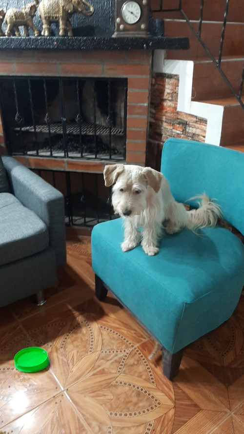 Luky