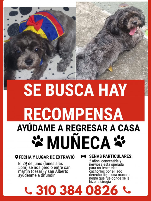 Muñeca