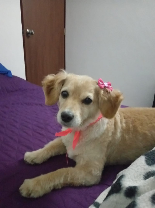Susy