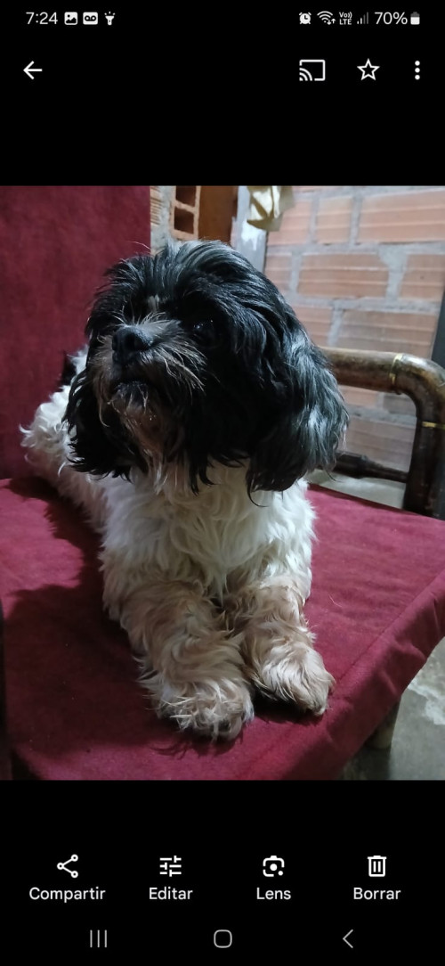 Miky