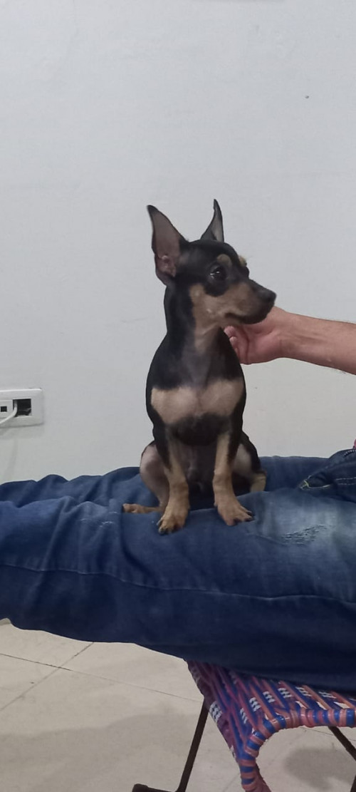 Luki