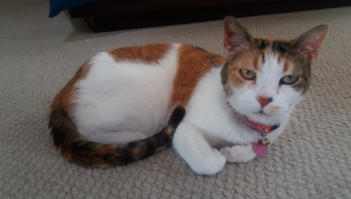 Molly
