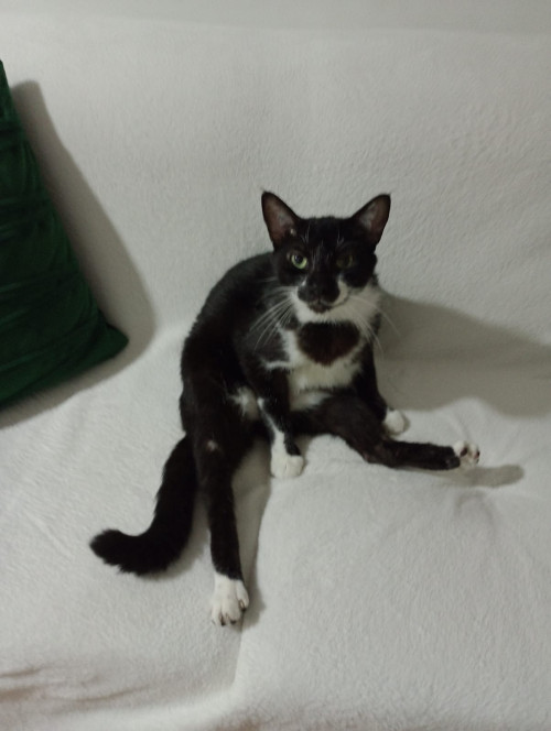 Tom