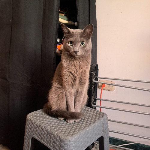 Ragnar
