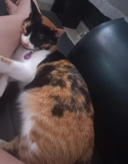 Luna
