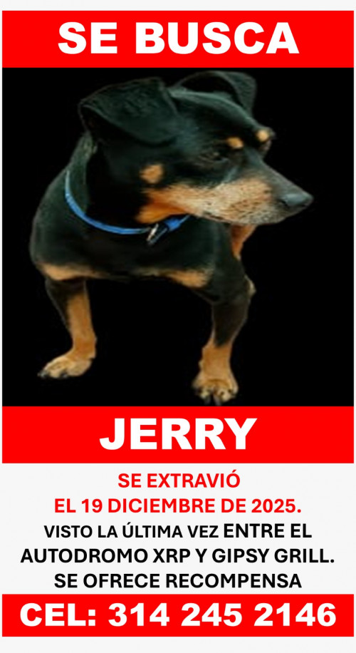 Jerry
