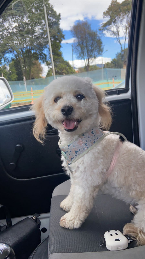 Vienna