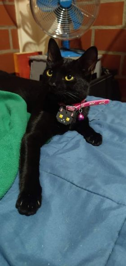 Mia