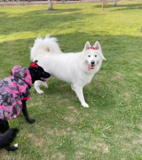 Kira