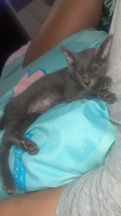 Ramón