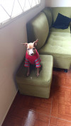 Foto de Tomas en  Bogotá #7
